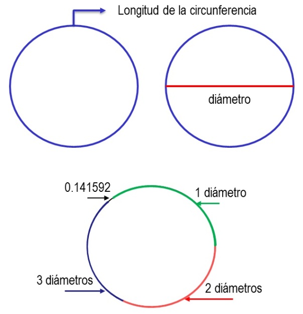 cero Ajustamiento Año nuevo Longitud de la circunferencia y el área del círculo | Matemáticas I